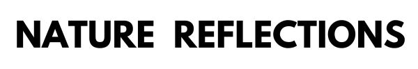 Nature Reflections logo