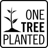 Tree to be Planted - Nature Reflections